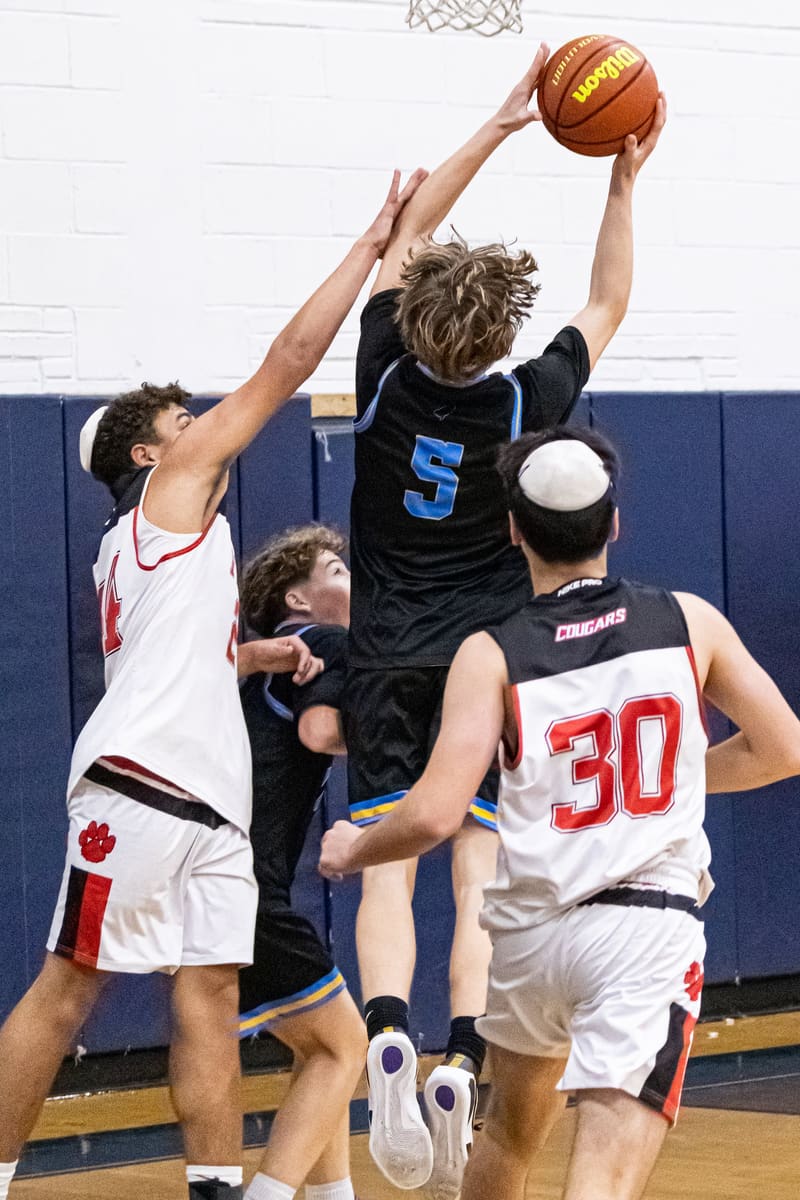 Frisch JV AAU Tournament photo 56