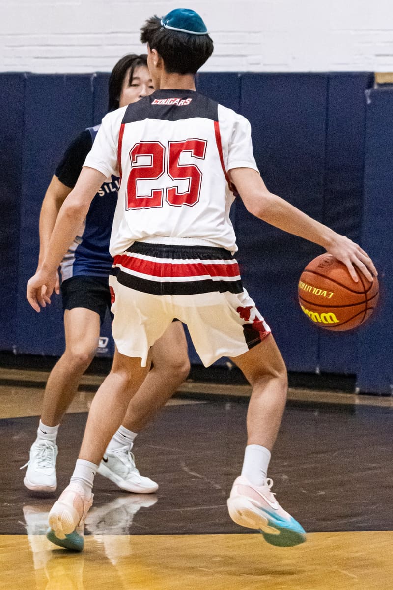 Frisch JV AAU Tournament photo 12